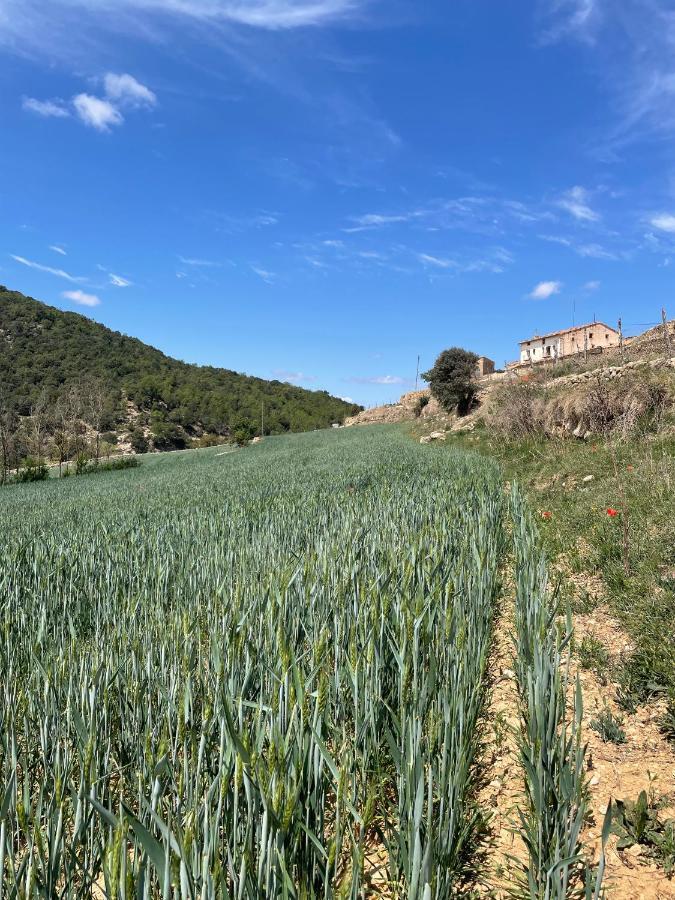 Masia La Perera Morella Buitenkant foto